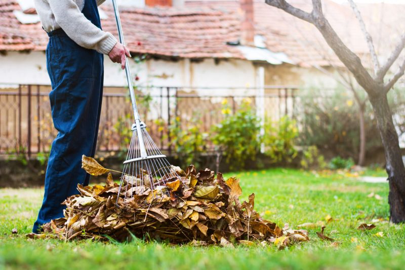 Autumn Leaf Removal in Ventura County, CA