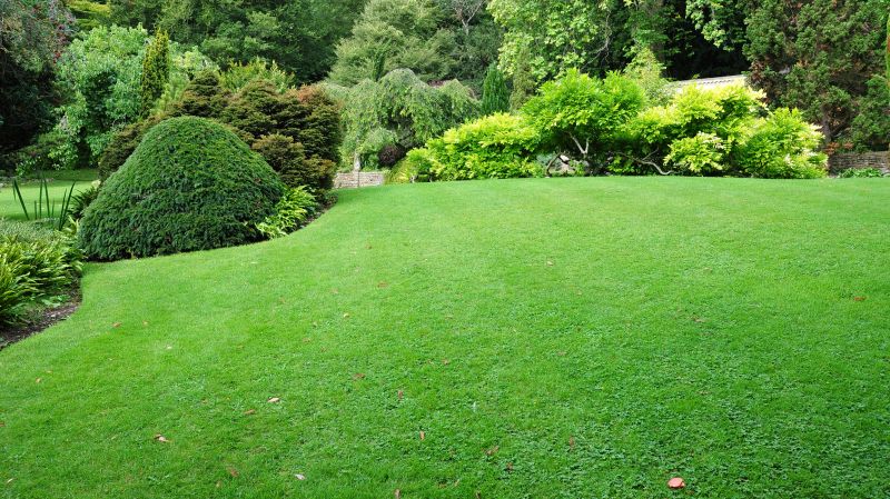 Commercial Gardening in Ventura County, CA