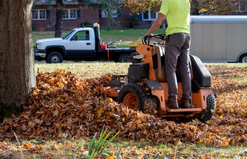 Leaf Blowing
