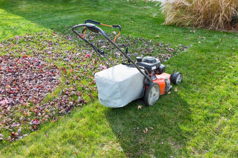 Professional Fall Lawn Maintenance