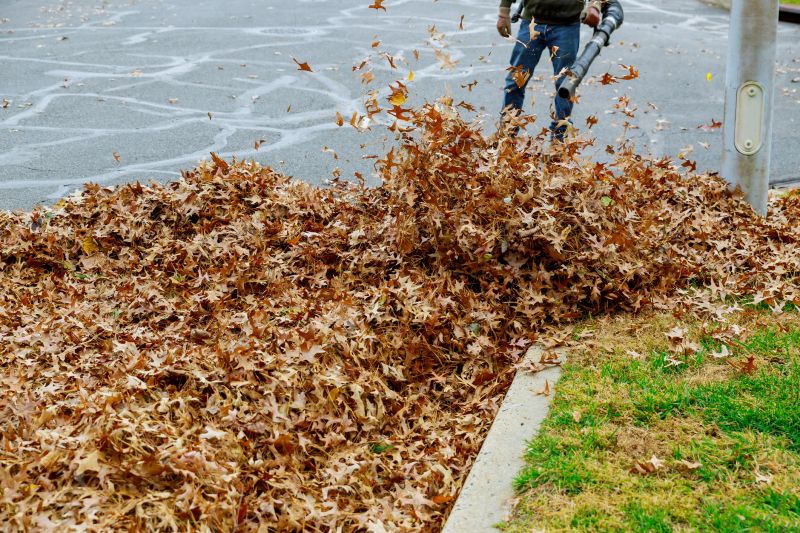 Leaf Blowings in Action