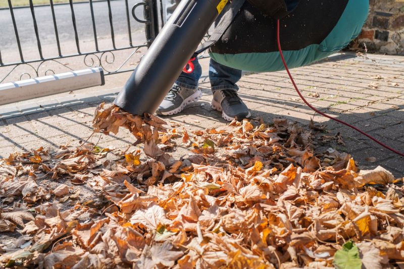 Leaf Clearing Process