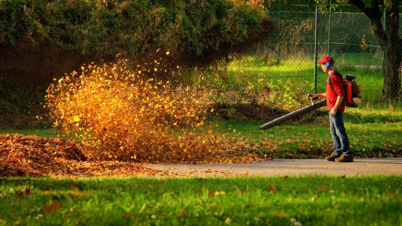 Leaf Blowing in Action