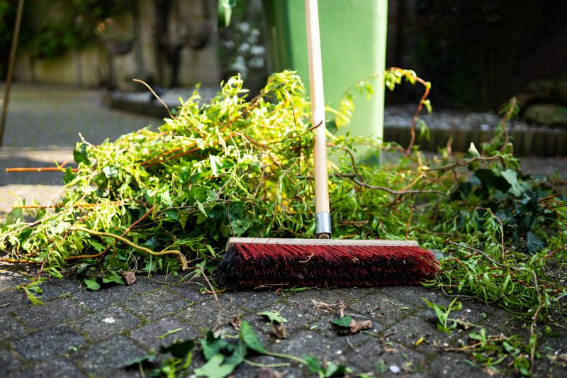 Spring Lawn Cleanup in Honolulu, HI