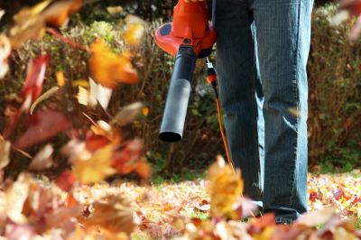 Residential and Commercial Leaf Blowing Services