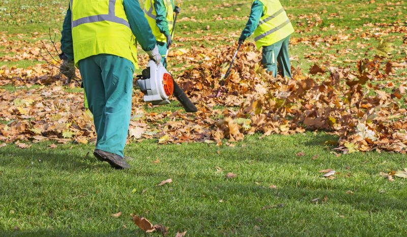 Contact About Leaf Blowing