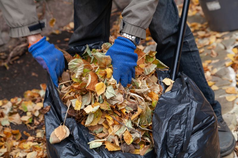 Spring Lawn Cleanup in Honolulu, HI