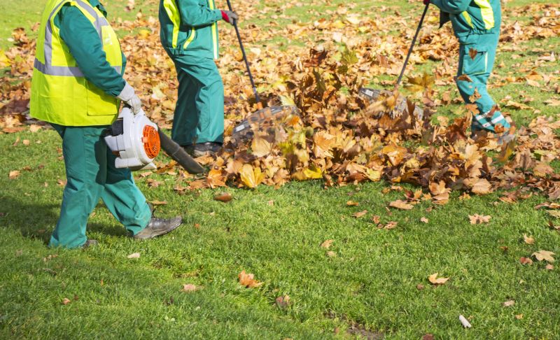 Leaf Blowing Services for Residential and Commercial Properties