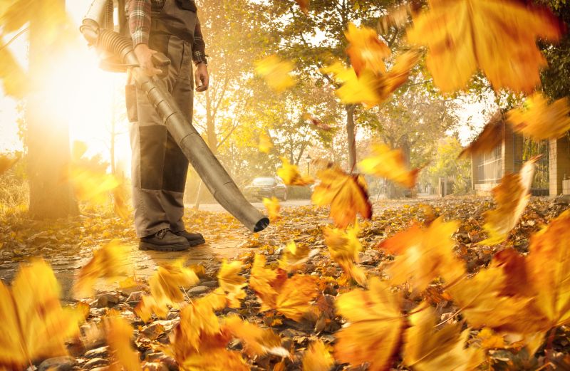 Leaf Blowing Service Promotions